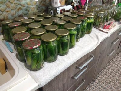 Прикрепленное изображение: IMG_20200826_164604_resize_47.jpg